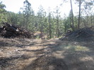 photo thumbnail #7
