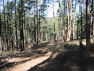 photo thumbnail #8