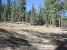 photo thumbnail #14