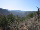 photo thumbnail #12