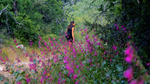 photo thumbnail #9