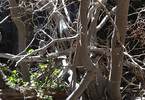 photo thumbnail #14