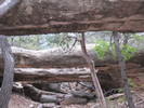 photo thumbnail #1