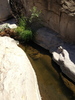 photo thumbnail #14