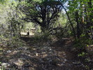 photo thumbnail #2