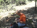 photo thumbnail #6