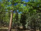 photo thumbnail #7