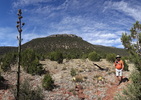 photo thumbnail #15