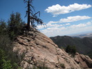 photo thumbnail #1