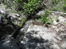photo thumbnail #3