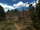 photo thumbnail #2
