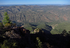 photo thumbnail #5