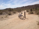 photo thumbnail #3