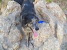 photo thumbnail #5