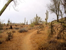 photo thumbnail #2