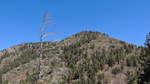 photo thumbnail #12