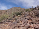 photo thumbnail #3