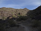 photo thumbnail #1