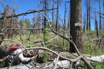 photo thumbnail #1