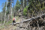 photo thumbnail #2