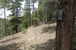 photo thumbnail #6
