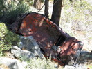 photo thumbnail #2