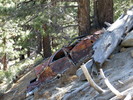 photo thumbnail #5