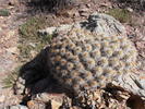 photo thumbnail #6