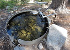 photo thumbnail #2