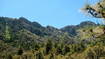 photo thumbnail #11