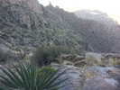 photo thumbnail #11