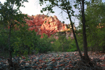 photo thumbnail #2