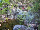 photo thumbnail #15