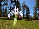 photo thumbnail #2