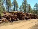 photo thumbnail #13