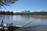 photo thumbnail #3