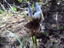 photo thumbnail #11