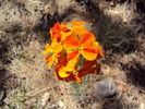 photo thumbnail #9