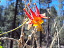 photo thumbnail #7