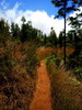 photo thumbnail #5