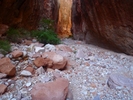 photo thumbnail #5