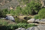 photo thumbnail #4