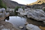 photo thumbnail #5