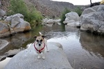 photo thumbnail #6