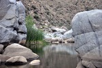 photo thumbnail #8