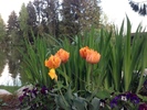 photo thumbnail #2