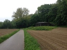 photo thumbnail #4