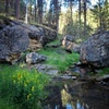 photo thumbnail #1
