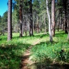 photo thumbnail #4