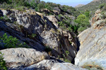 photo thumbnail #10